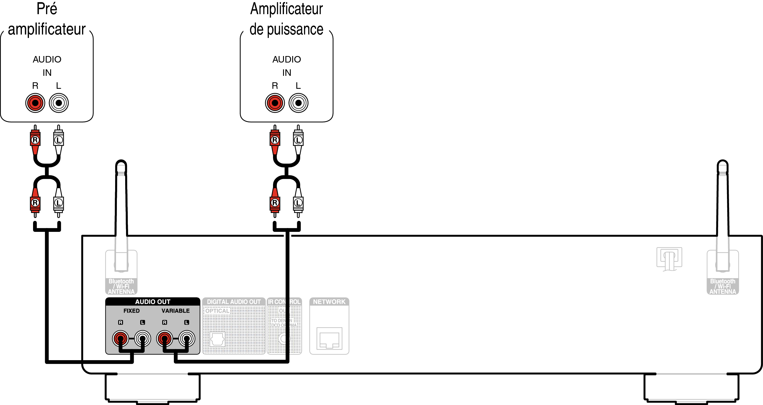Conne AnalogOut DNP800NE